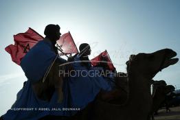 Image du Maroc Professionnelle de  Des hommes du désert s’apprêtent à une course de chameaux organisé dans un site désertique sur lequel la ville de Tan Tan a toujours accueilli la majorité des tribus et des grandes familles nomades du désert lors d'un grand Moussem, Samedi 7 Septembre 2013. Le festival parrainé par l'UNESCO rassemble des milliers de nomades du Maroc. (Photo / Abdeljalil Bounhar) 